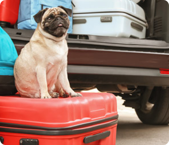 hotel-baggage-cart 1